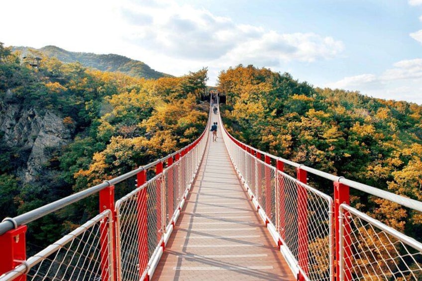 DMZ Tour from Seoul:3rd Tunnel,North Korea View,Suspension Bridge 5