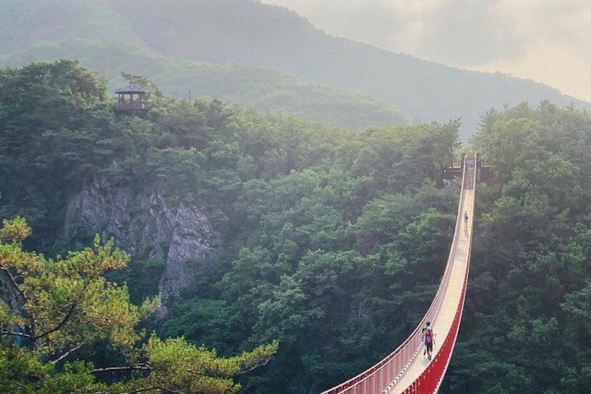 DMZ Tour from Seoul:3rd Tunnel,North Korea View,Suspension Bridge 2