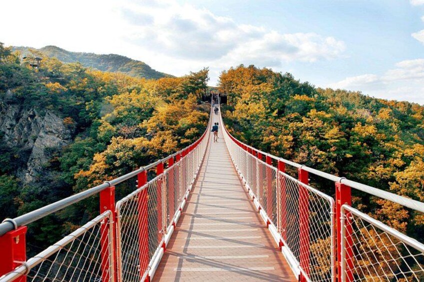 DMZ Tour from Seoul:3rd Tunnel,North Korea View,Suspension Bridge 4