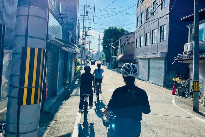 Pedal Adventure Kyoto's iconic landmarks on an e-bike tour 2