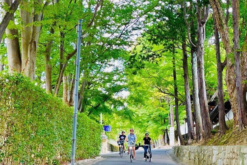 Pedal Adventure Kyoto's iconic landmarks on an e-bike tour 5
