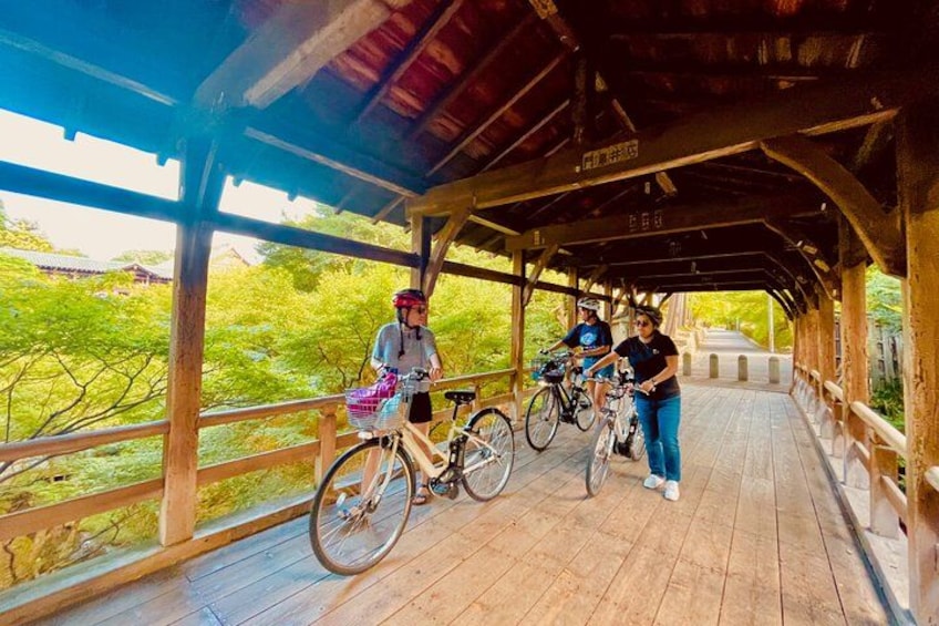 Pedal Adventure Kyoto's iconic landmarks on an e-bike tour 4