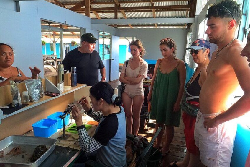 From the production to the sale of cultured pearls. 4