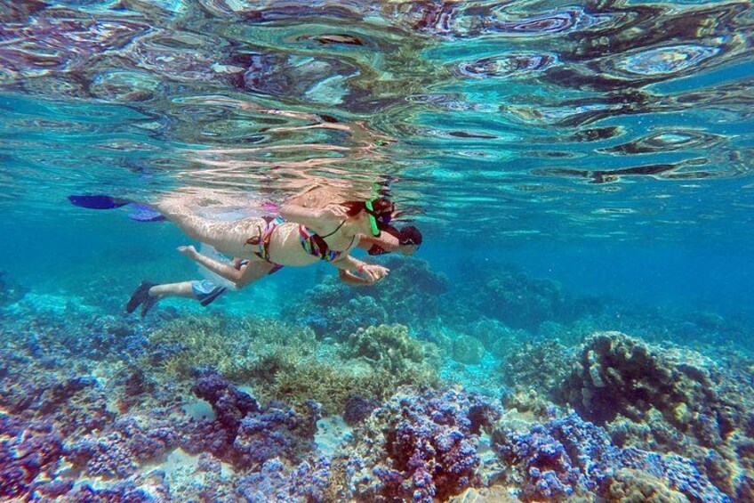 3rd stage: guided tour of the first coral garden. 5