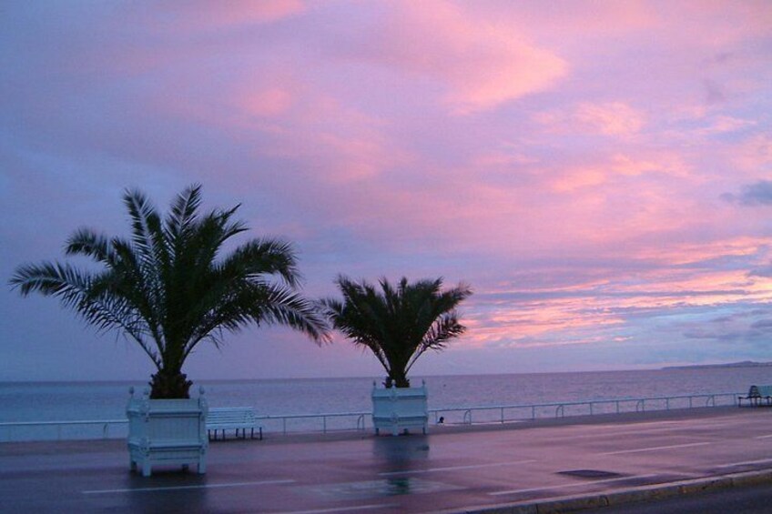Atardecer sobre el océano con palmeras y un banco a lo largo de la orilla. 4