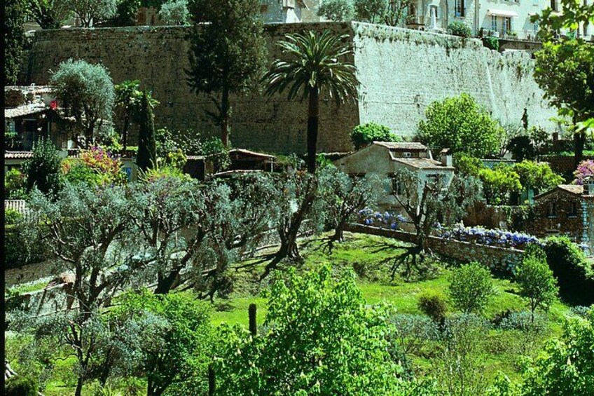 Un exuberante jardín con varios árboles y un muro de piedra. 5