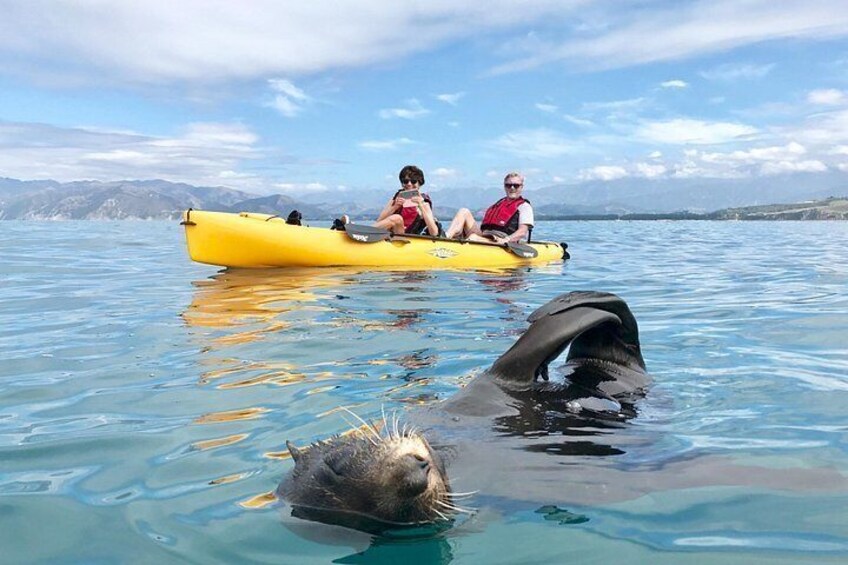 A kayak on calm water with mountains in the background. 4