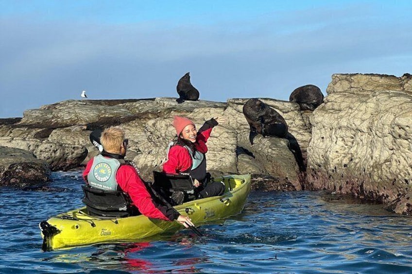 Two people kayaking on a calm body of water with rocky shores and seals in the background. 3