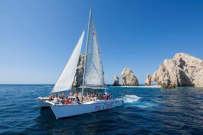 Los Cabos Whale Watching Cruise with Open Bar and Snacks 2