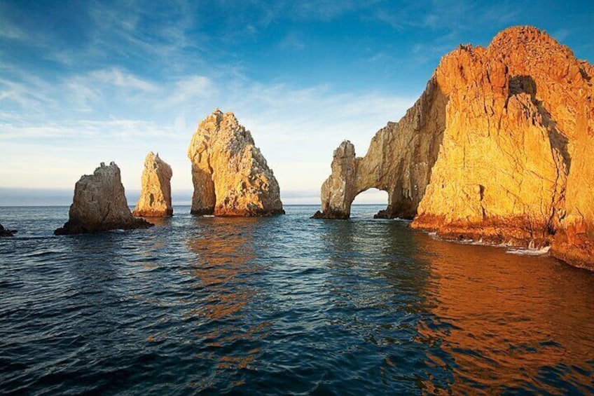 Los Cabos Whale Watching Cruise with Open Bar & Snacks 2