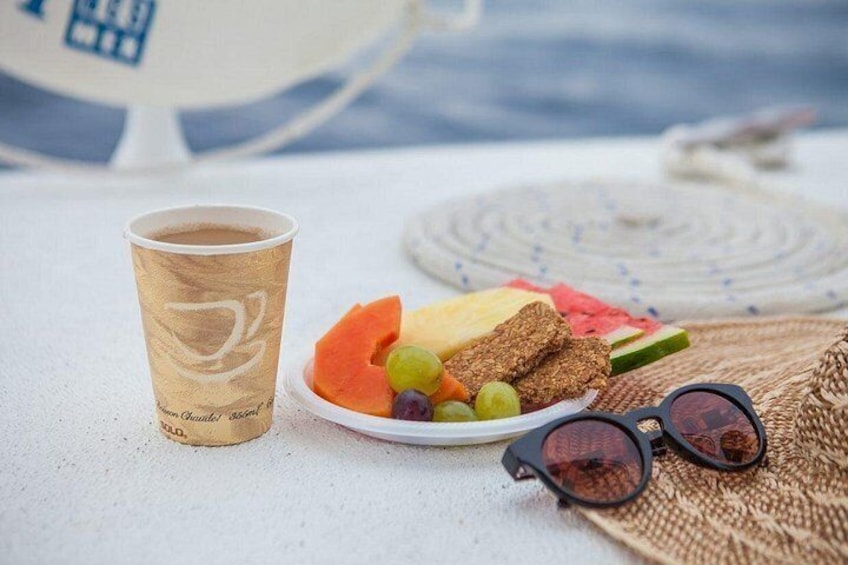 Los Cabos Whale Watching Cruise with Open Bar & Snacks 5