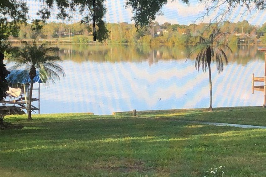 A calm lake with a grassy foreground, a palm tree, and a wooden dock extending into the water. 3