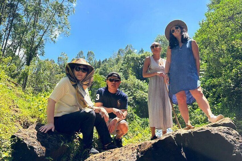 Full Day Shared Purple Tea Farm Experience 2
