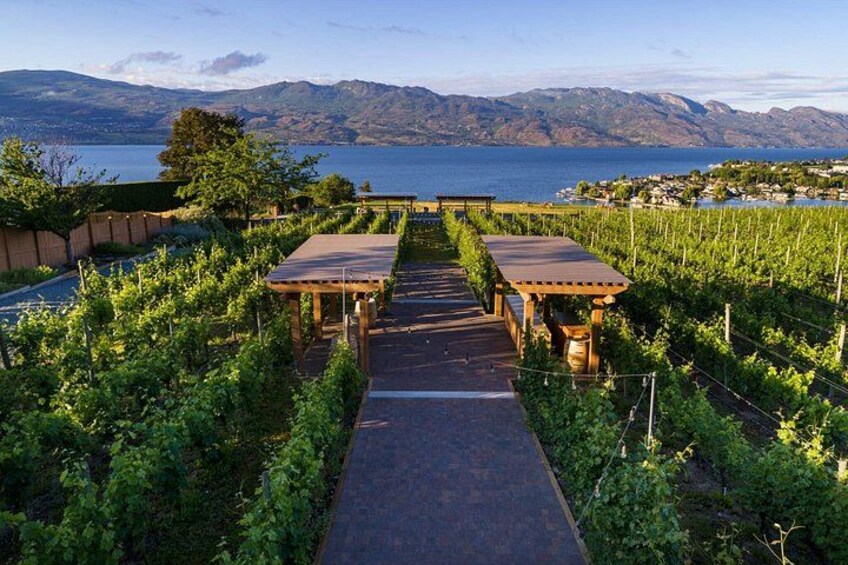 Private Wineries Tour of Kelowna 1