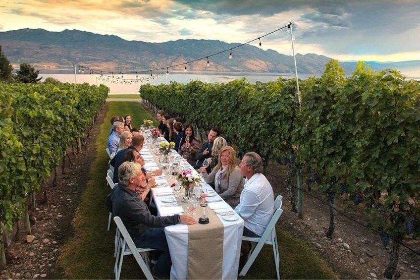Private Wineries Tour of Kelowna 3