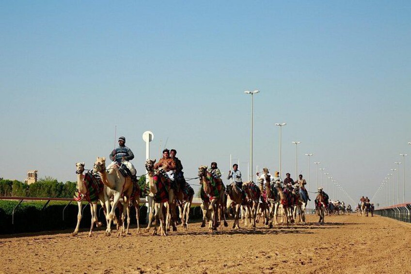 Private Combo North and West of Qatar Tour 8hours 3