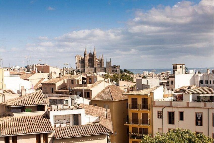 A cityscape with a prominent cathedral and terracotta-roofed buildings. 2