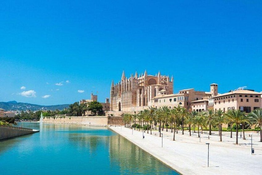 A historic building with Gothic architecture, a waterfront promenade, and palm trees. 4