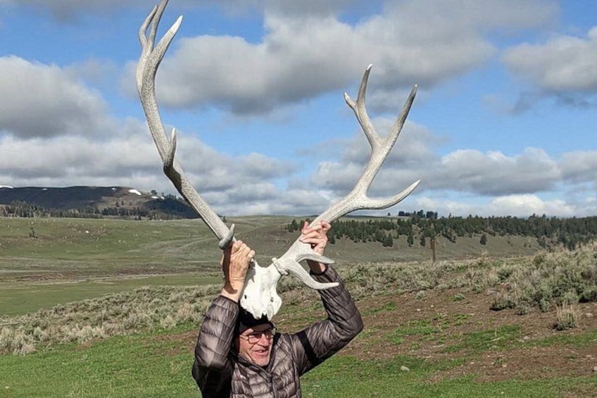 A person holding a large deer skull with antlers. 4