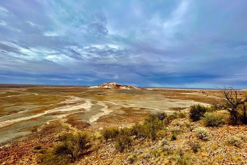 A barren landscape with sparse vegetation, a distant hill, and a cloudy sky. 1