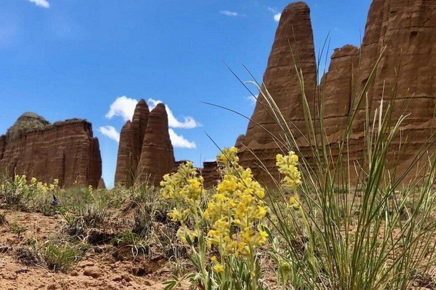 Un paysage désertique caractérisé par des formations rocheuses imposantes et des plantes à fleurs jaunes. 4