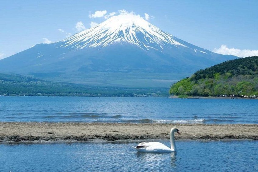 Mt Fuji Hakone Tour from Tokyo: Cable Car and Cruise Option 4