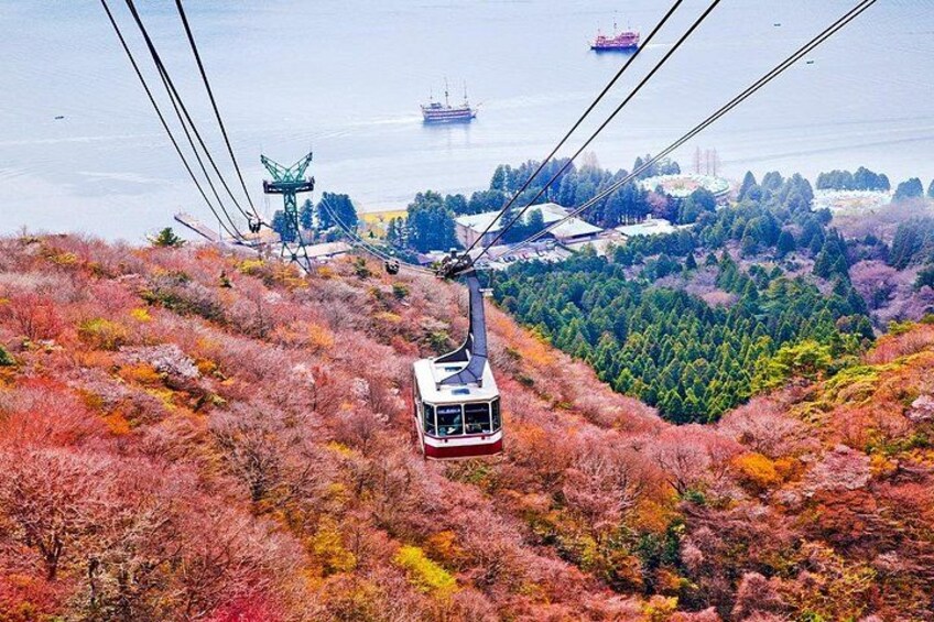 A cable car moving over a forested area with autumn foliage, a body of water, and a distant ship. 4