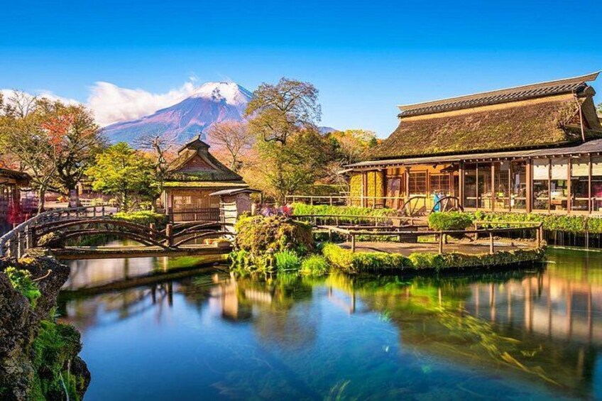 Mt Fuji Hakone Tour from Tokyo: Cable Car and Cruise Option 3