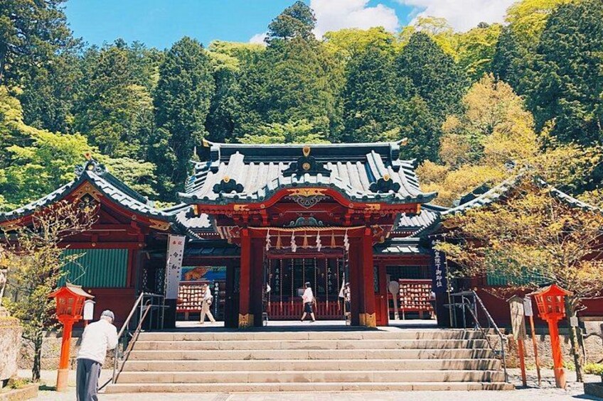 Mt Fuji Hakone Tour from Tokyo: Cable Car and Cruise Option 3