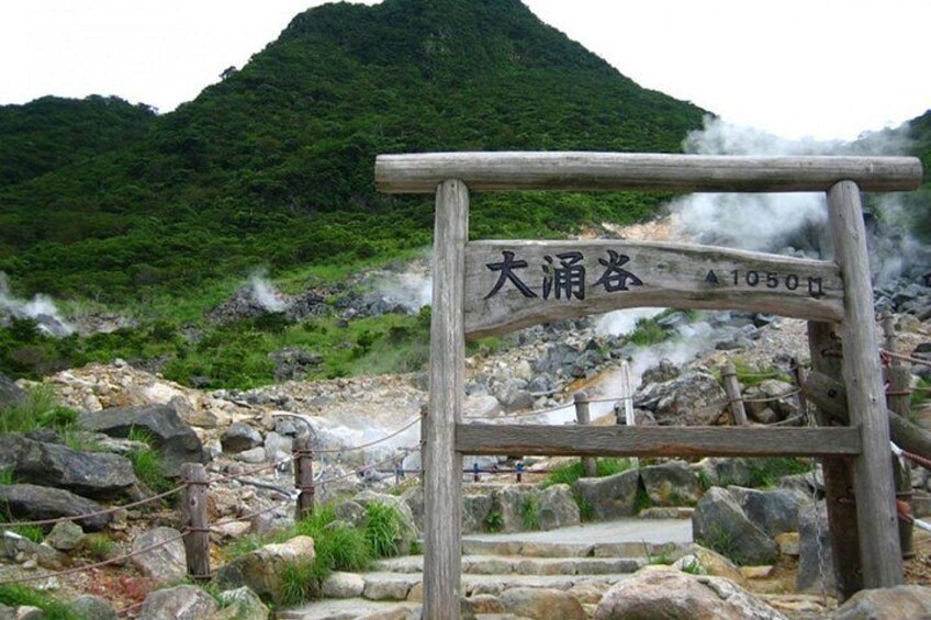 Mt Fuji Hakone Tour from Tokyo: Cable Car and Cruise Option 4