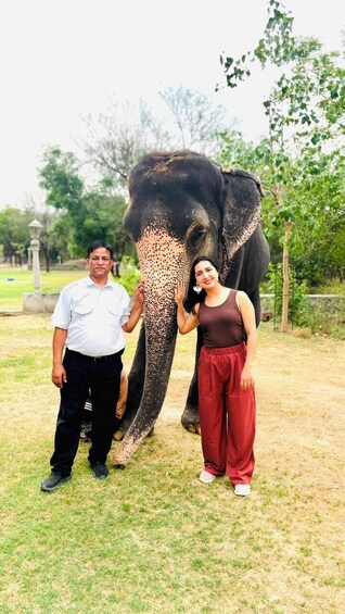 Taj Mahal Tour from Delhi with Elephant SOS Wildlife Experience 2