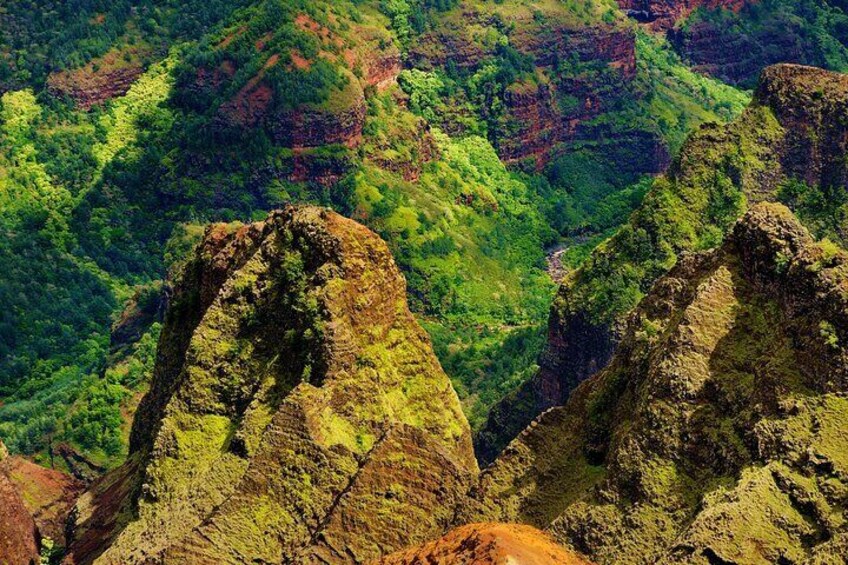 Rugged mountains with dense green vegetation. 5