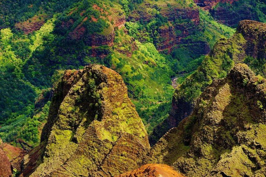 Full-Day Private Kauai's Waimea Canyon and South Side Tour 3