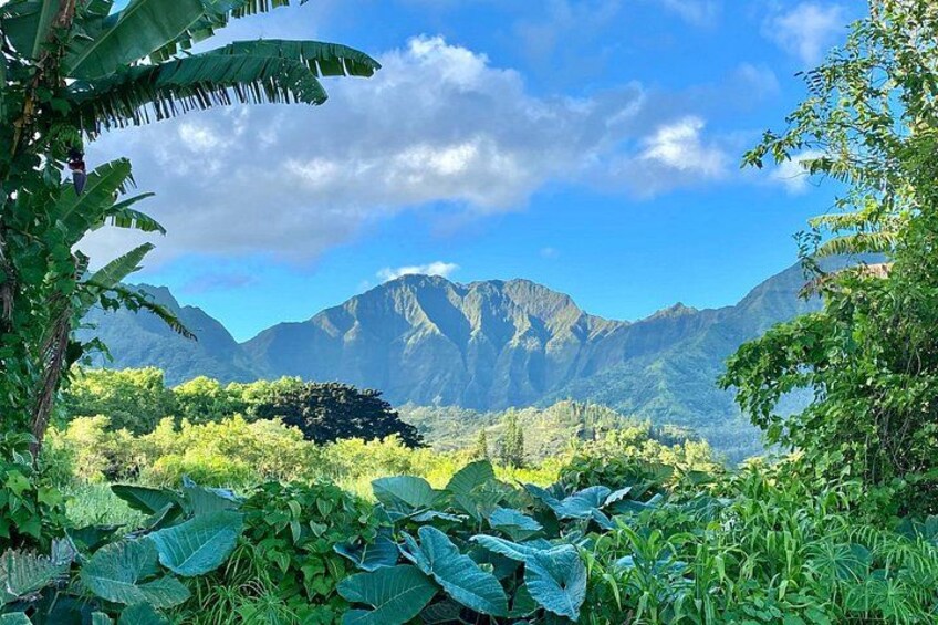 Full-Day Private Kauai's Waimea Canyon and South Side Tour 2