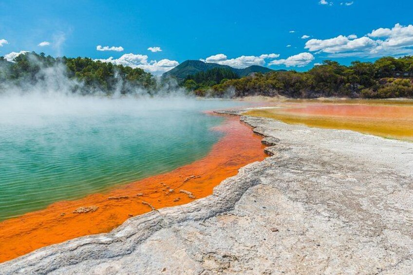 Private Tour Rotorua Waiotapu Redwood Forest and Polynesian Spa 1
