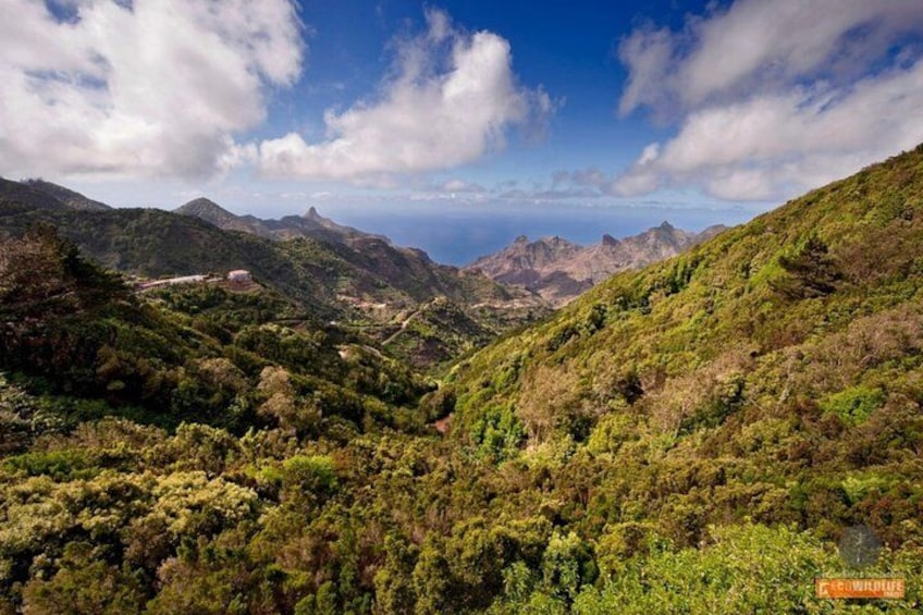 A mountainous landscape with dense green vegetation and a clear sky. 1