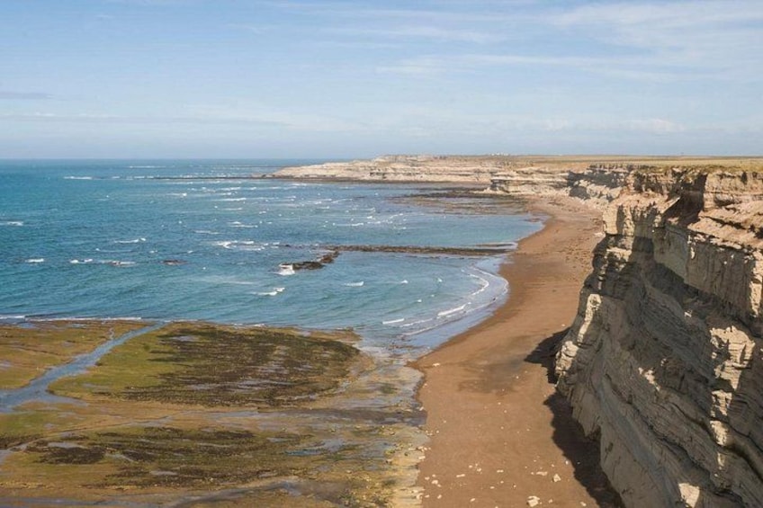 Peninsula Valdés - EARLY BOOKING -20 OFF - for Cruise Passengers 2