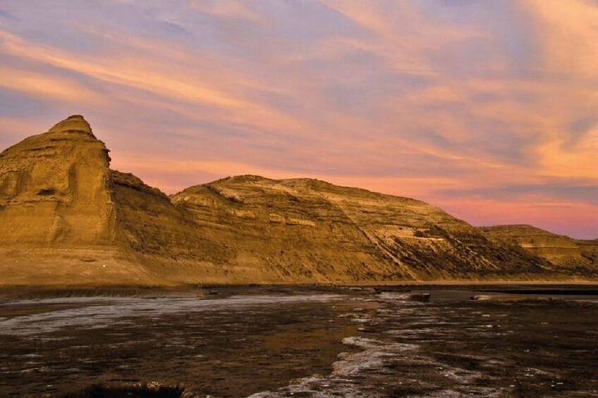 Peninsula Valdés - EARLY BOOKING -20 OFF - for Cruise Passengers 3