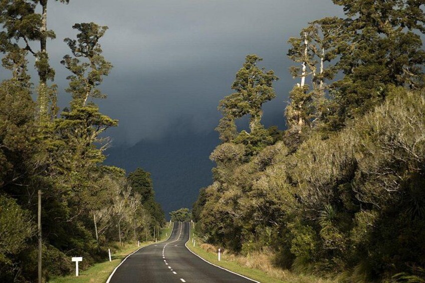 A winding road flanked by dense forest and a mountain range in the distance. 3