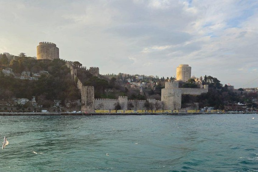 Bosphorus Cruise 2-3 Hour Cruises with Optional Asia Stop & Meal 2