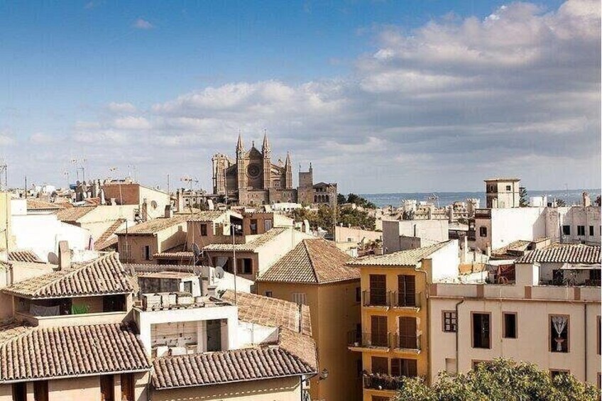 Palma de Mallorca Must-See Attractions Walking Tour With A Guide 3