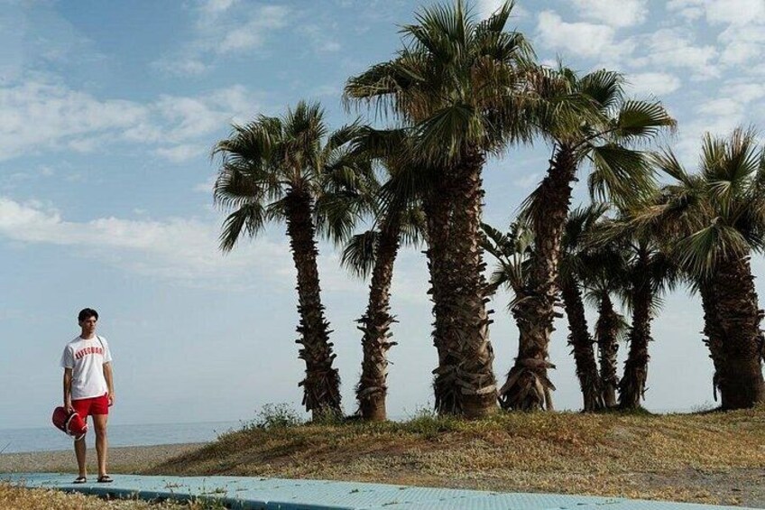 Palma de Mallorca Must-See Attractions Walking Tour With A Guide 3