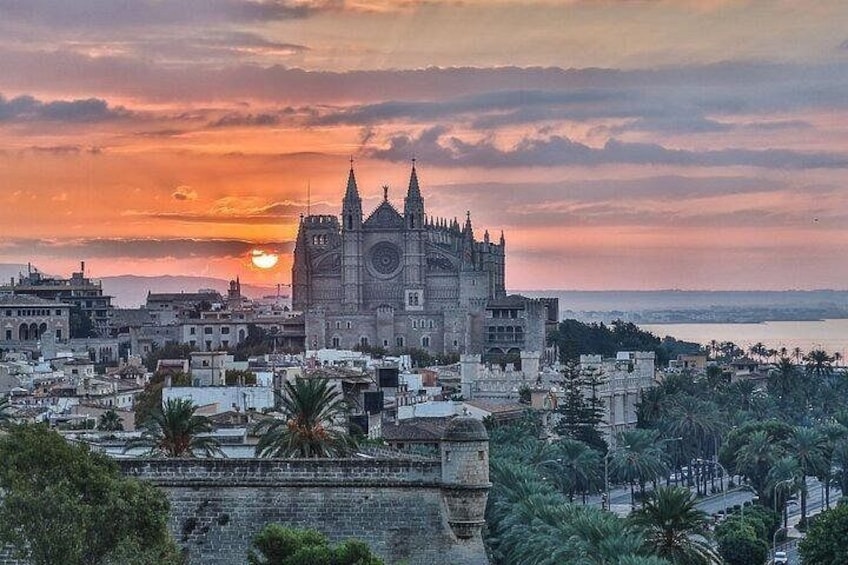 Palma de Mallorca Must-See Attractions Walking Tour With A Guide 3