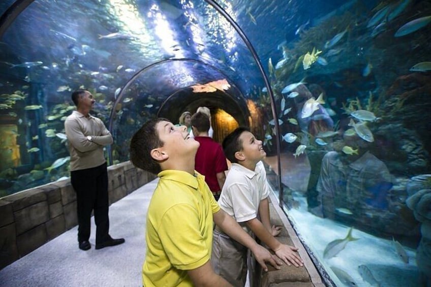 Audubon Aquarium and Insectarium Ticket 2