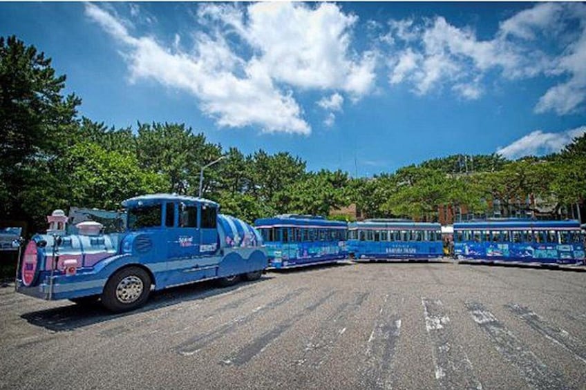 A Comprehensive Small-Group Busan Tour with Hotel Pickup 4