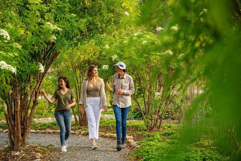 Jurlique Farm Tour 3