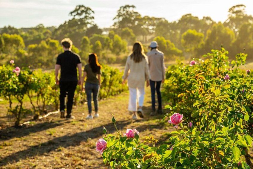 Jurlique Farm Tour 1