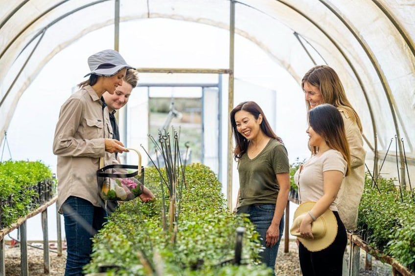 Jurlique Farm Tour 5