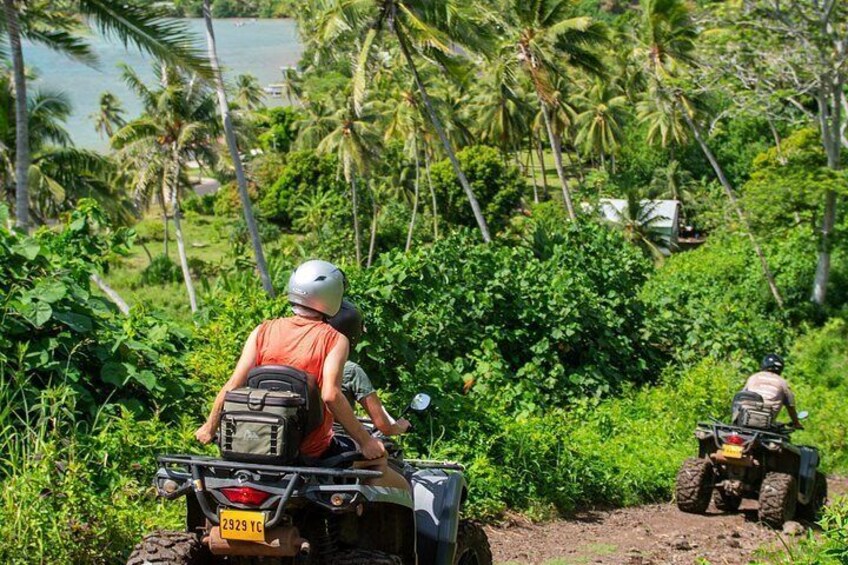Two people on ATVs in a tropical setting with dense vegetation and palm trees. 4
