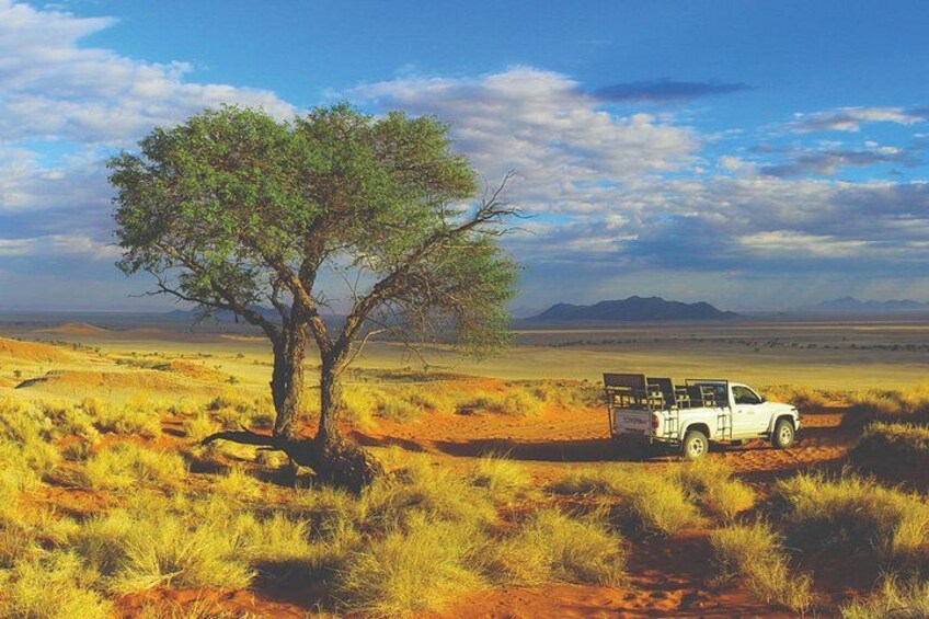 Namib Desert Safari 5